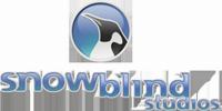 Snowblind Studios (1997). Нажмите, чтобы увеличить.