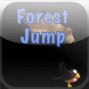  Forest Jump (2009). Нажмите, чтобы увеличить.