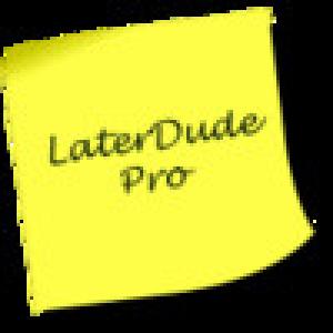  LaterDude Pro (2009). Нажмите, чтобы увеличить.