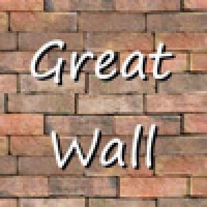  The Great Wall (2010). Нажмите, чтобы увеличить.