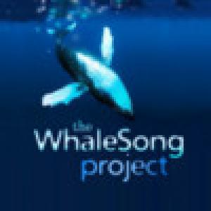 the WhaleSong project (2009). Нажмите, чтобы увеличить.