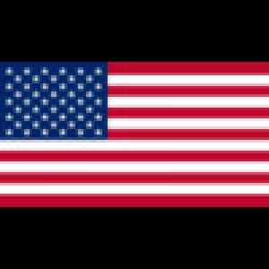  USA Flag Idle Screen (2009). Нажмите, чтобы увеличить.