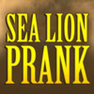  A Sea Lion Prank (2010). Нажмите, чтобы увеличить.