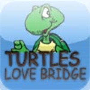  Turtles : Love Bridge (2010). Нажмите, чтобы увеличить.
