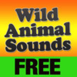  Wild Animal Sounds (2010). Нажмите, чтобы увеличить.