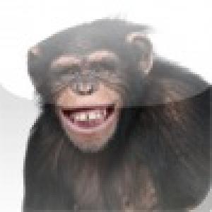  Happy Chimpanzee Slide Puzzle (2010). Нажмите, чтобы увеличить.
