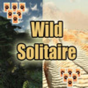  Wild Solitaire (2009). Нажмите, чтобы увеличить.