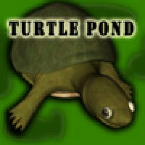  Turtle Pond (2009). Нажмите, чтобы увеличить.