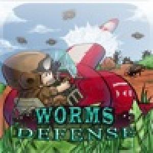  Worms Defense (2009). Нажмите, чтобы увеличить.