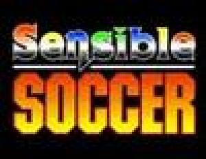  Sensible Soccer (2005). Нажмите, чтобы увеличить.