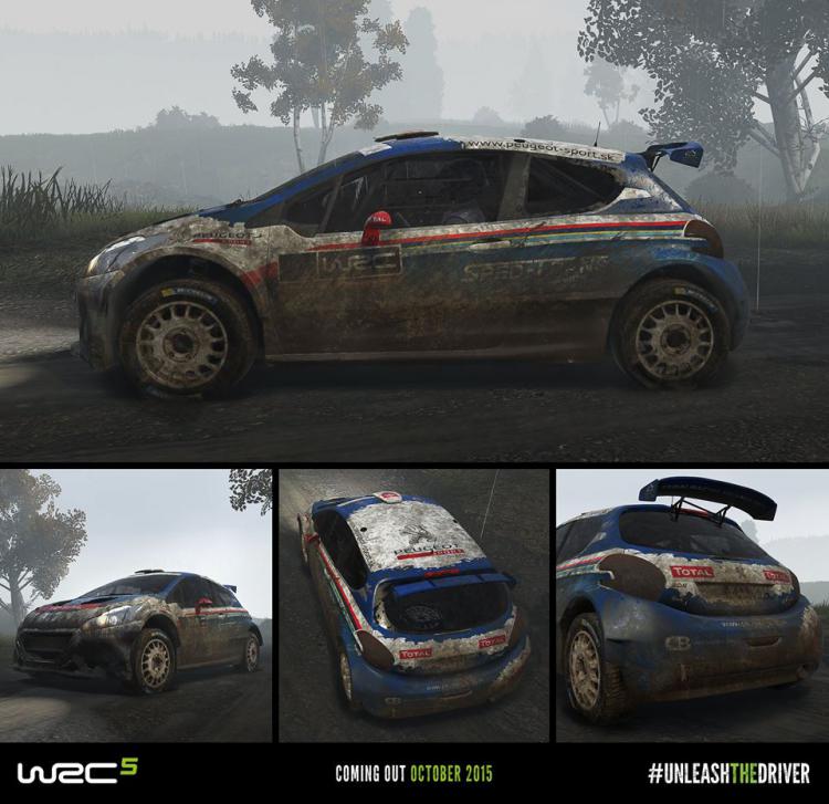 Скриншот WRC 5