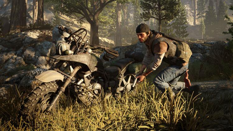 Скриншот Days Gone