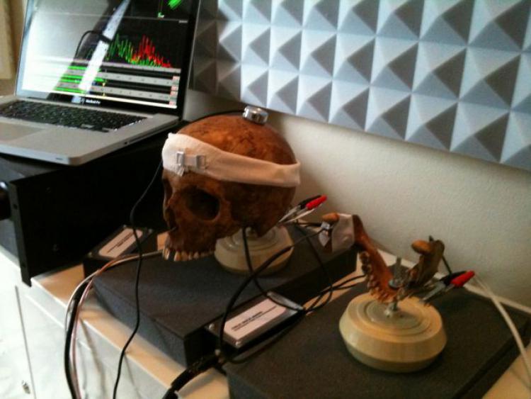 Композитор Inside использовал для записи саундтрека человеческий череп