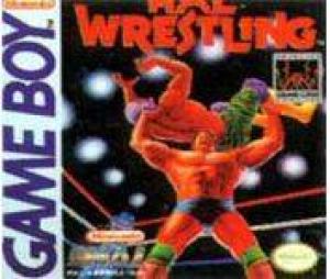  Hal Wrestling (1990). Нажмите, чтобы увеличить.