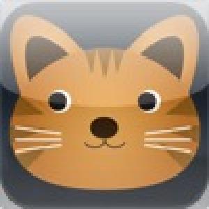  Animal Bounce (2010). Нажмите, чтобы увеличить.