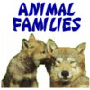  Animal Families (2009). Нажмите, чтобы увеличить.