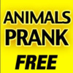  Animals Prank (2010). Нажмите, чтобы увеличить.