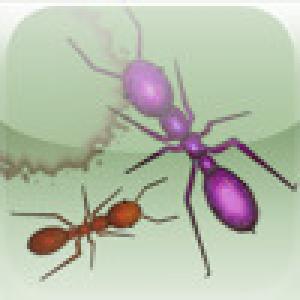  Ant Squish (2009). Нажмите, чтобы увеличить.