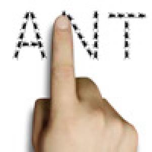  Ant x Ant (2009). Нажмите, чтобы увеличить.