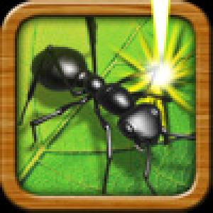  Ants Realm (2009). Нажмите, чтобы увеличить.