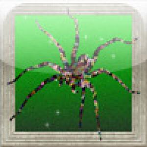  Arachnitap (2009). Нажмите, чтобы увеличить.