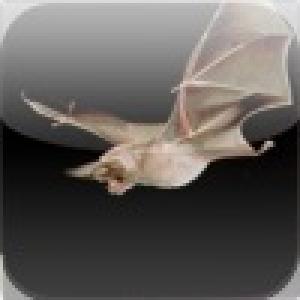  Bat Attack (2010). Нажмите, чтобы увеличить.