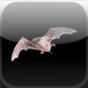  Bats (2009). Нажмите, чтобы увеличить.