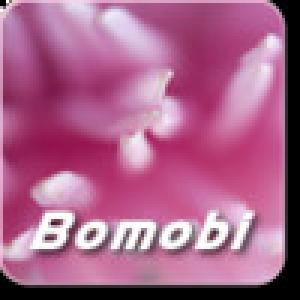  Bemobi Fresh Theme (2009). Нажмите, чтобы увеличить.