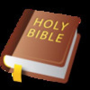  Bible (2009). Нажмите, чтобы увеличить.