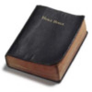  Bible Mobile (2009). Нажмите, чтобы увеличить.