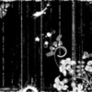  Black and White Theme (2009). Нажмите, чтобы увеличить.