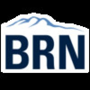  BlueRidgeNow Mobile (2009). Нажмите, чтобы увеличить.