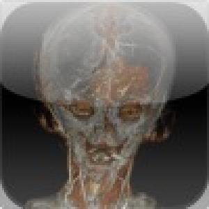  Brain Training - Daily (2010). Нажмите, чтобы увеличить.