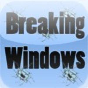  Breaking Windows (2010). Нажмите, чтобы увеличить.