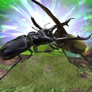  Bug Fighter (2010). Нажмите, чтобы увеличить.