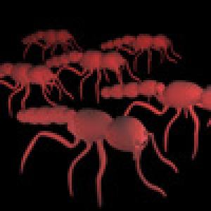  Bug Squisher (2010). Нажмите, чтобы увеличить.