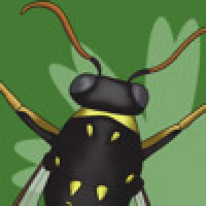  Bugs Away! (2009). Нажмите, чтобы увеличить.