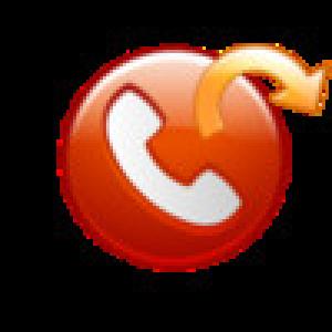  Calls2Email (2009). Нажмите, чтобы увеличить.