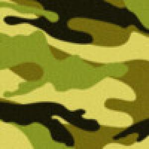  Camo Theme (2009). Нажмите, чтобы увеличить.