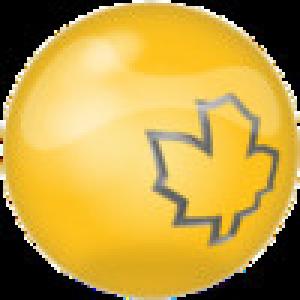  Canadian Business Search (2009). Нажмите, чтобы увеличить.