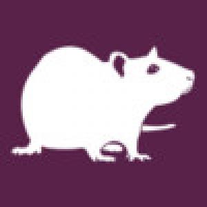  Cellar Rat (2009). Нажмите, чтобы увеличить.