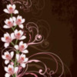  Cherry Blossoms Theme (2009). Нажмите, чтобы увеличить.