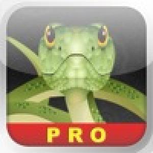  ClassicSnake Pro (2010). Нажмите, чтобы увеличить.