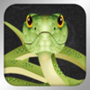  ClassicSnake for ipad (2010). Нажмите, чтобы увеличить.