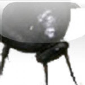  Cockroach (2009). Нажмите, чтобы увеличить.