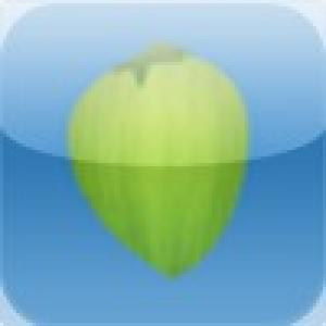  Coconut Pablo Oceanique (2010). Нажмите, чтобы увеличить.