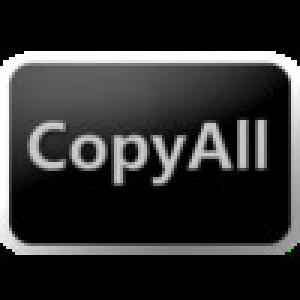  CopyAll (2009). Нажмите, чтобы увеличить.