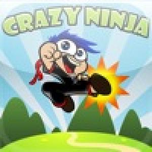  Crazy Ninja (2009). Нажмите, чтобы увеличить.