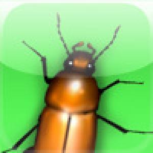  Debugger (2008). Нажмите, чтобы увеличить.