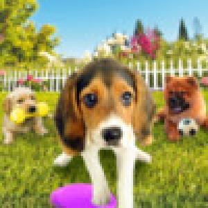  Dogz 2 (2009). Нажмите, чтобы увеличить.